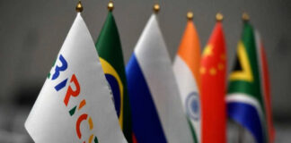 Srbiju sa zemljama BRIKS-a vežu ekonomsko partnerstvo i tradicionalne vrednosti