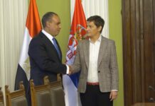 Brnabić se sastala sa ministrom inostranih poslova Egipta
