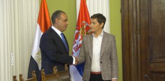 Brnabić se sastala sa ministrom inostranih poslova Egipta