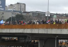 APEL PROFESORIMA ZA PODRŠKU