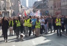 Stotine studenata krenulo peške iz Beograda prema Novom Sadu – Na korak od pravde