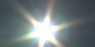 WWF Adria Srbija – 2024. je bila godina izuzetno ekstremnih vremenskih prilika