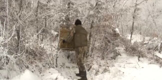 Zašto je važno hranjenje divljači tokom zime