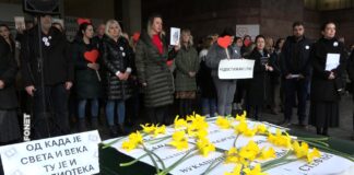 Plenum Narodne biblioteke Srbije – Vreme protesta, preispitivanja