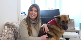 Tijana Damjanović Gertner – Stroge kazne za sve koji se ne pridržavaju odgovornog vlasništva pasa