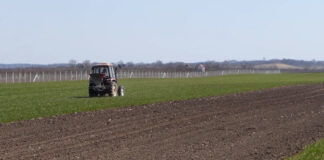 Prihrana sada, koje đubrivo primeniti?
