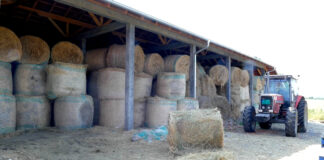 Raspisan prvi IPARD 3 poziv u okviru mere 3 – Investicije za preradu i marketing