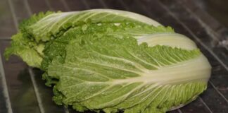 Kineski kupus riznica vitamina