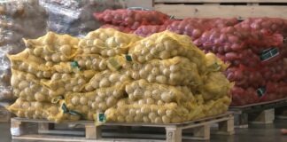 Krompir u skladištu tokom zime – Bolesti vrebaju