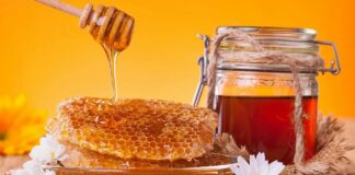 Lekovi iz prirode protiv prehlade i virusa