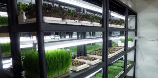 Mikropovrće tokom cele godine