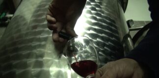 Nega vina za dobar kvalitet i dugotrajnost