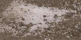 Cene đubriva neprekidno rastu od jeseni, tona i do 480 evra