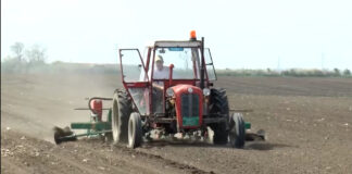 Ključne preporuke za setvu soje