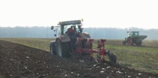 Plodored za dobar rod povrća na kraju sezone