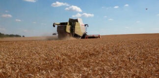 „Izazovi i mogućnosti regenerativne poljoprivrede u Srbiji“ – Petrovaradin, 20. marta