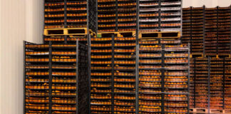 Za izgradnju farmi do 3,5 miliona, za hladnjače do 3 miliona dinara