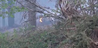 Za vreme praznika veća opasnost od šumskih požara