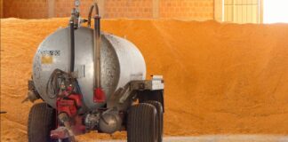 Ministarstvo – Poljoprivrednici, proveravajte e-sanduče, stižu rešenja o podsticajima