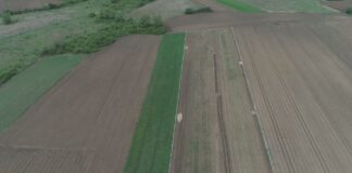 Vojvođani mogu kupiti njive na kredit uz kamatu od 1%