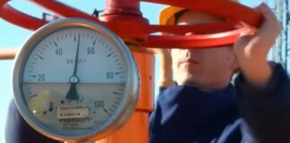 Bajatović – Srbija će od Rusije godišnje kupovati 2,5 milijardi kubnih metara gasa