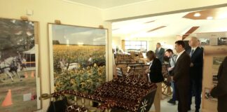 Gojković – Ergela Kelebija ima veliki potencijal u konjičkom turizmu