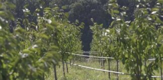 Ministarstvo poljoprivrede – Razgovaraćemo samo sa reprezentativnim udruženjima