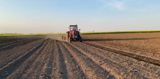 Prodata najskuplja njiva u Srbiji