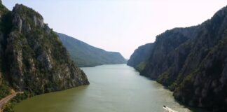 Dramatičan pad bioraznovrsnosti u svetu