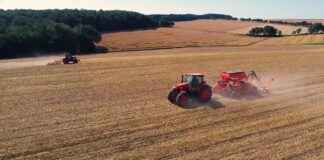 U poljoprivredi Srbije 2024. bruto dodata vrednost manja 7,6 odsto