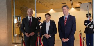 Brnabić sa članovima dva odbora parlamenta Holandije: EU strateško opredeljenje