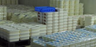 Vlada donela uredbu o proizvodima koji liče na sir i kajmak, a u stvari sadrže biljne masti