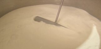 Mlekare smanjile otkupnu cenu i do 16 dinara