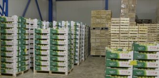 Nastavak rasta izvoza poljoprivredno-prehrambenih proizvoda