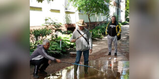 Građani održali performans “Ribnjak Lesnina” – Kada institucije ćute, kreativnost progovori