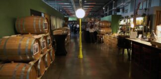 Srbija želi da se proglasi Svetski dan šljivovice