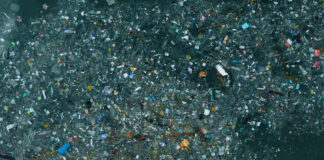 Svetski dan životne sredine – Zaustavimo zagađenje plastikom