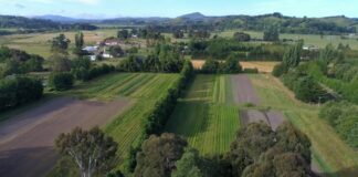 Šta donosi novi Zakon o poljoprivrednom zemljištu