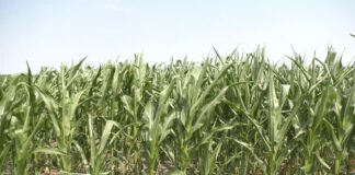 Javna rasprava o Nacrtu zakona o organskoj proizvodnji do 5. jula