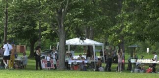 Združeni zrenjaninski zborovi organizovali humanitarni festival – Što ne može jedan, možemo svi