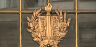 Inicijativa u SANU – Akademici traže Vučićevu ostavku