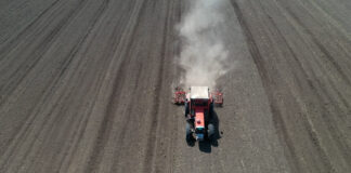 Raspisan je Javni poziv za podnošenje zahteva za ostvarivanje prava na regres za sertifikovano seme