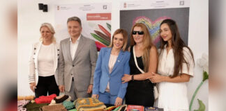 Jovanović i Đurđević Stamenkovski – Nova elektronska usluga za osobe sa invaliditetom