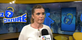 Ljiljana Borović – Protiv sam mešanja izvršne vlasti u zakonodavnu vlast