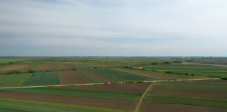 FAO – Cene maslaca, mesa i biljnih ulja najviše porasle u junu