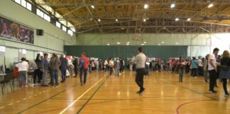 Infostud – Na tržištu rada Srbije u prvoj polovini 2025. broj oglasa za posao bio je 17 odsto manji