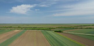 Izbor za najbolje ruralne fotografije u 2025. godini