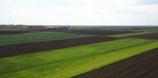 Manje humusa na našim njivama, manje i prinosa