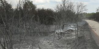 Paljenje strnjike na otvorenom višestruko opasna i pogrešna praksa