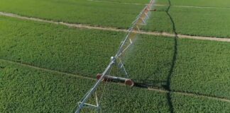 Konkurs za poljoprivredna udruženja – Snaga građanskog učešća za održivu poljoprivredu u Srbiji